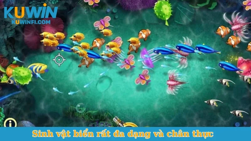 Sinh vật biển rất đa dạng và chân thực